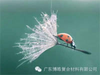 【博皓感悟】成功，要“借力”，不要“盡力”