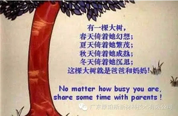 樹(shù)就是我們的父母！請(qǐng)愛(ài)護(hù)你們身邊的這棵樹(shù)！