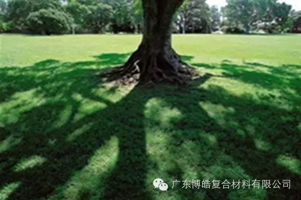 【博皓感悟】欲為大樹，莫與草爭(zhēng)-6